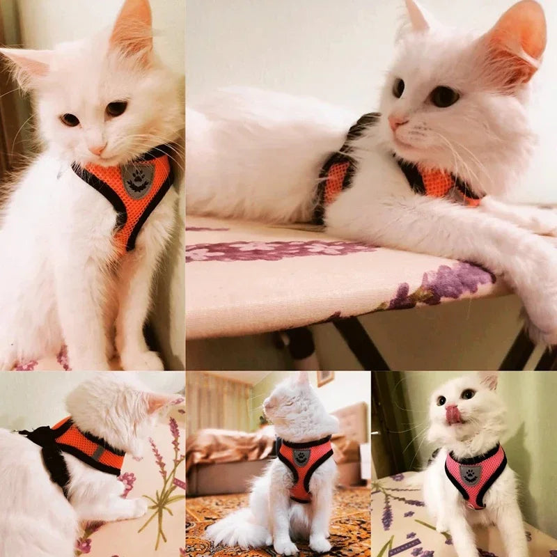 Cat Harness Vest Walking Lead Leash for Puppy Dogs Collar Polyester Adjustable Mesh Dog Harness for Small Medium Pet Accessories