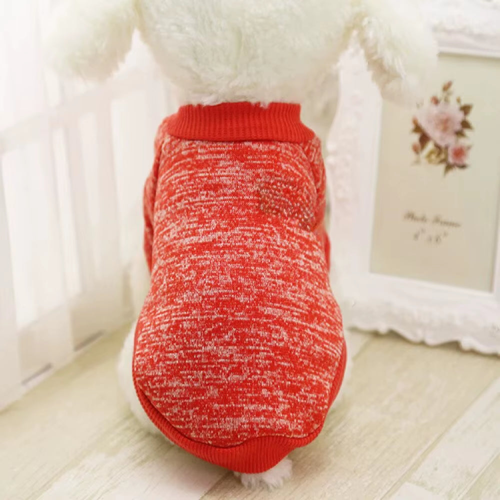 Dog Warm Clothes Spring Autumn Winter Cute Fashion Jacket round Neck Sweater Pet Supplies Teddy Dog Cat Clothing Pet Accessories