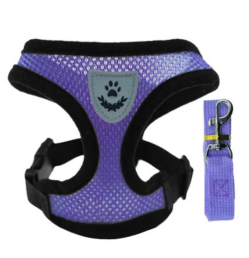 Cat Harness Vest Walking Lead Leash for Puppy Dogs Collar Polyester Adjustable Mesh Dog Harness for Small Medium Pet Accessories